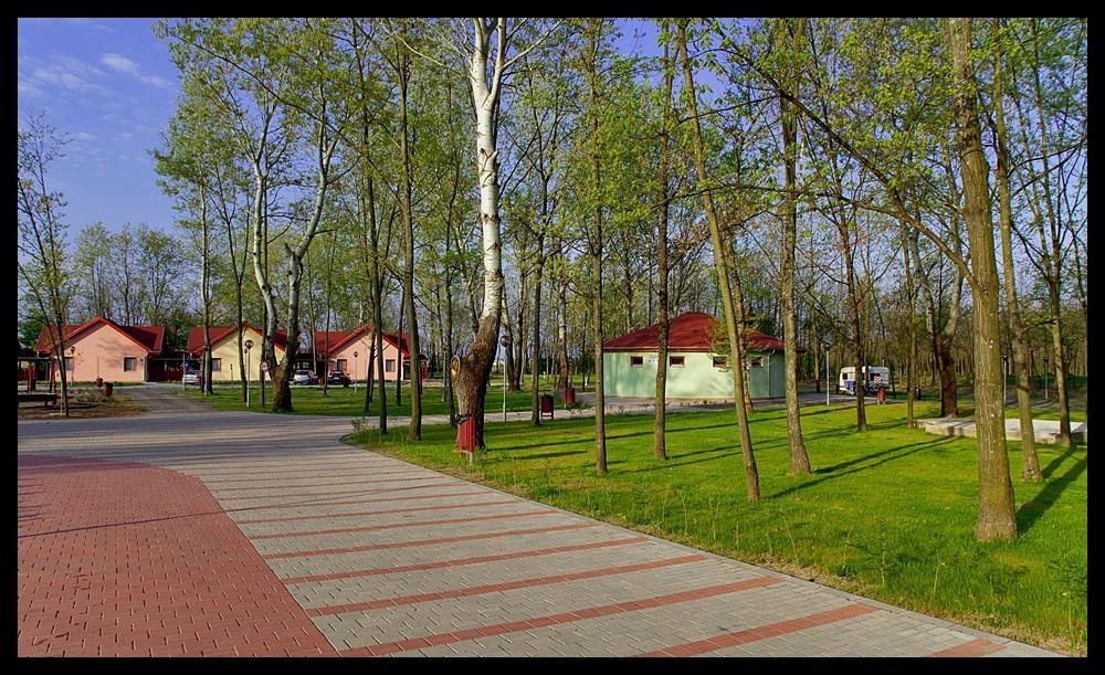 Sarkany Apartman, Sarkany Wellness Es Gyogyfuerdo Nyirbator Exterior photo